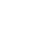 police car